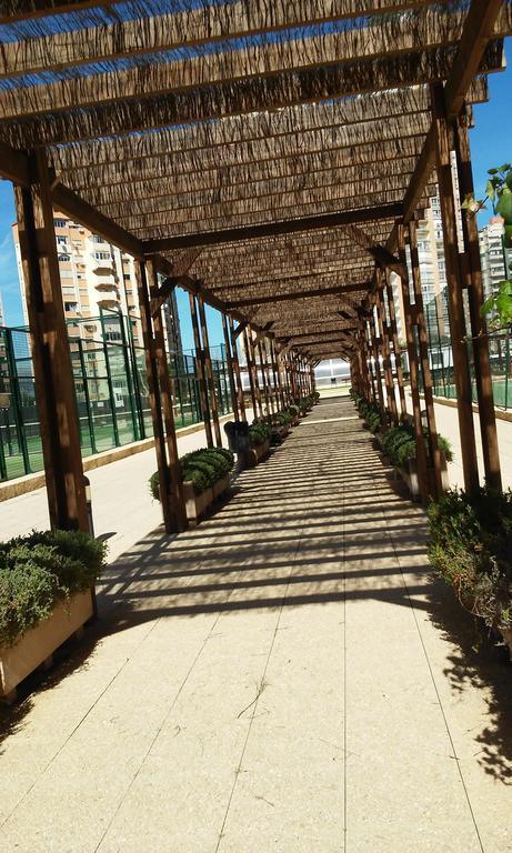 Apartment Carmentxu Gemelos 26 貝尼多姆 客房 照片